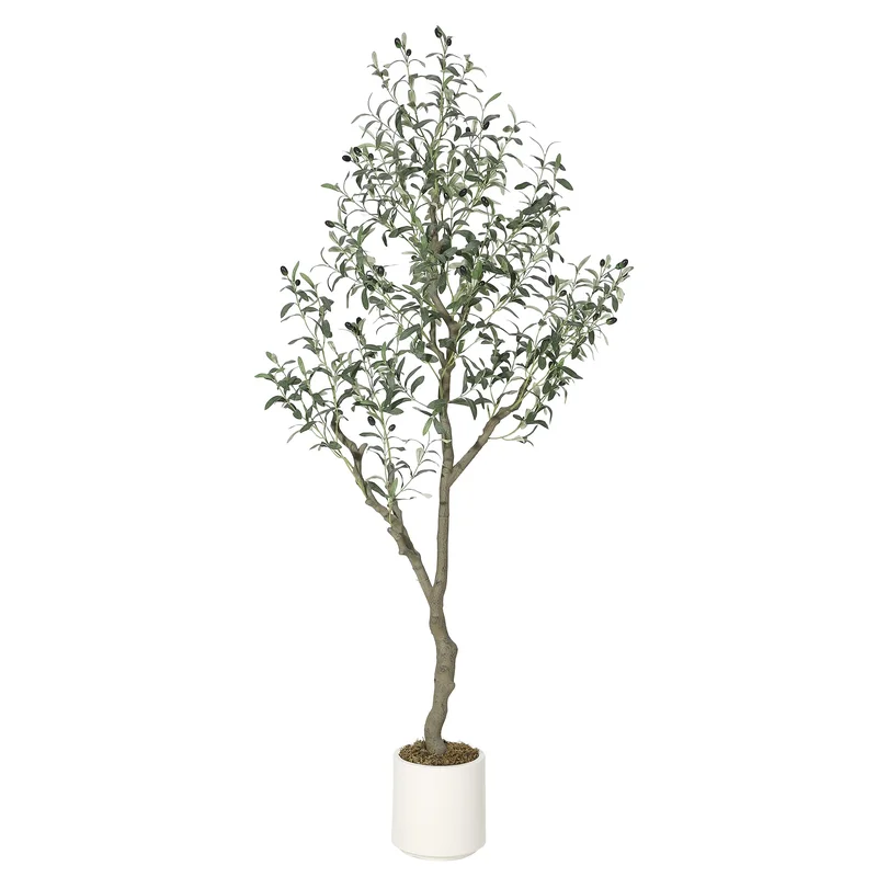 garvee4859562