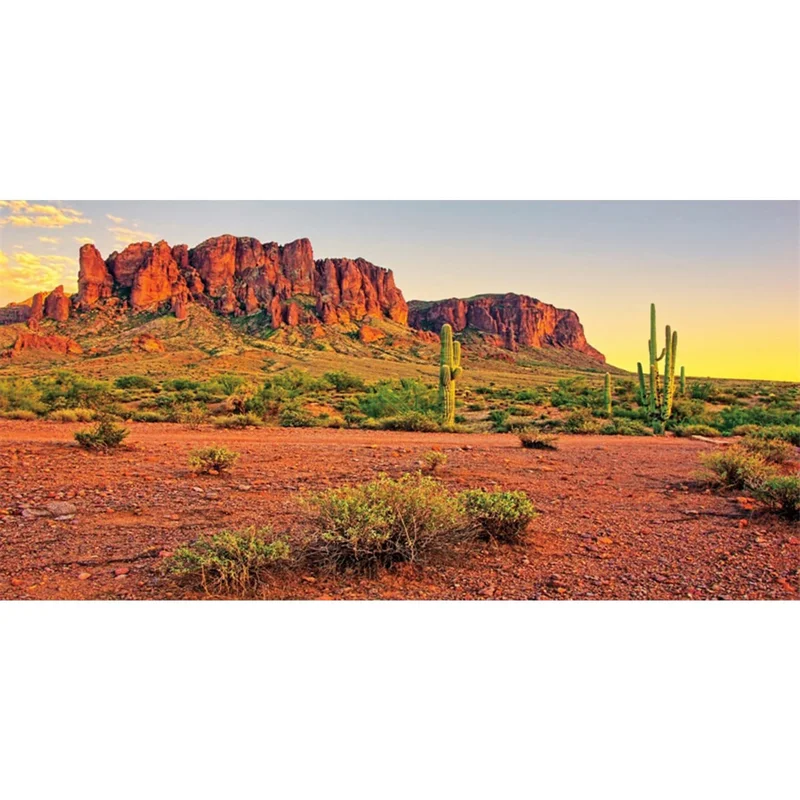 ibspot-16171556