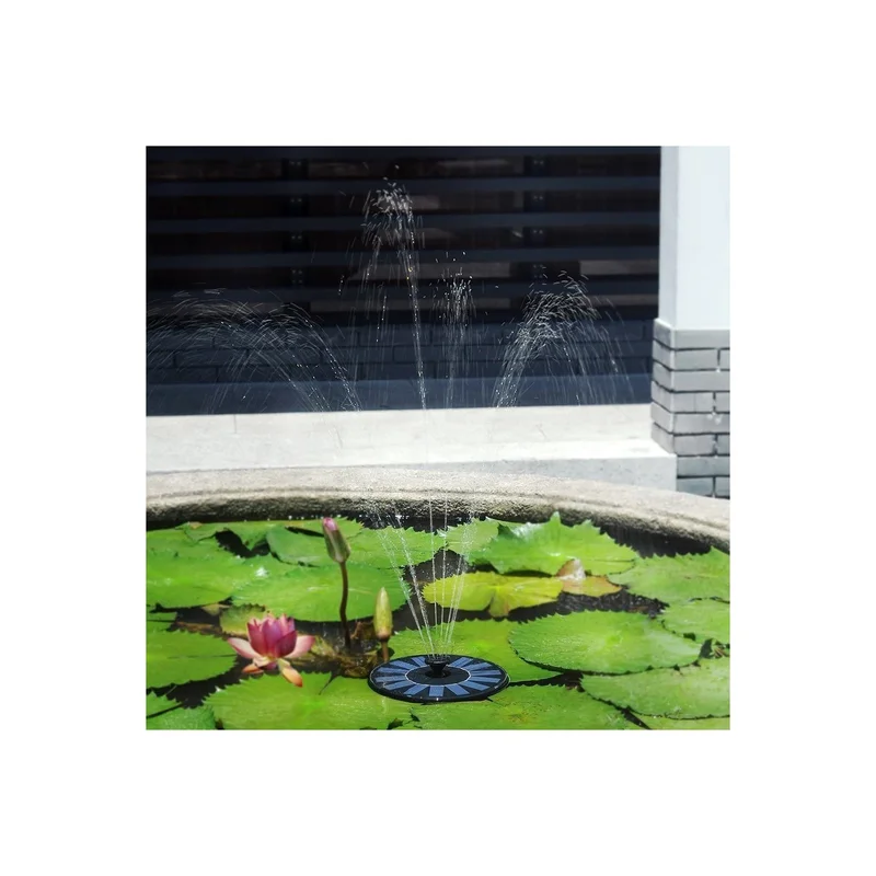 ibspot-24287153