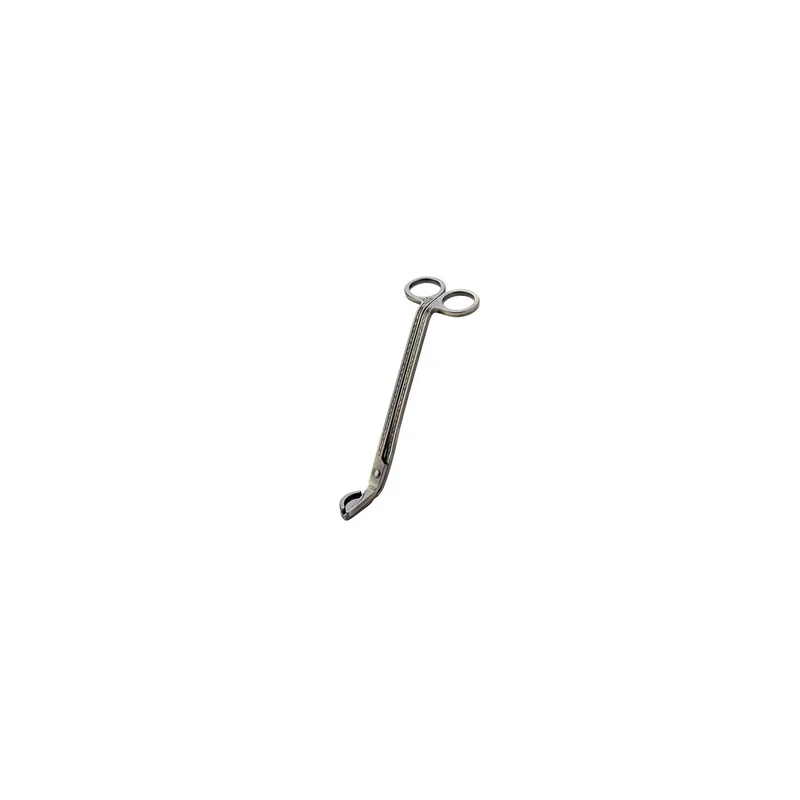 ibspot-25241031