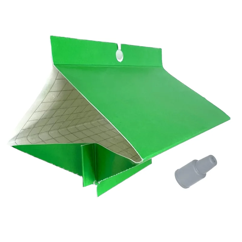 ibspot-33972302