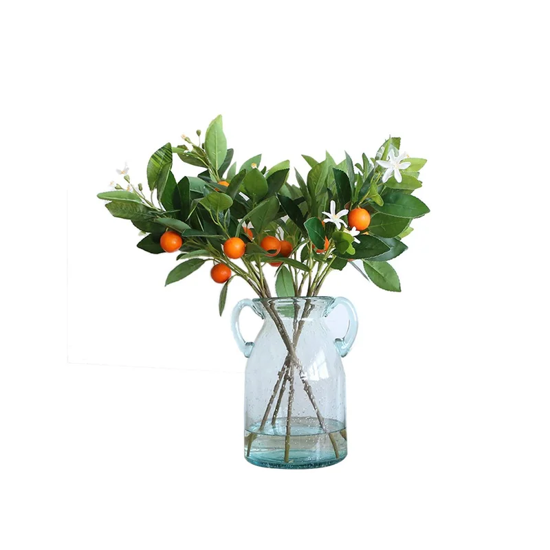 ibspot-35001169