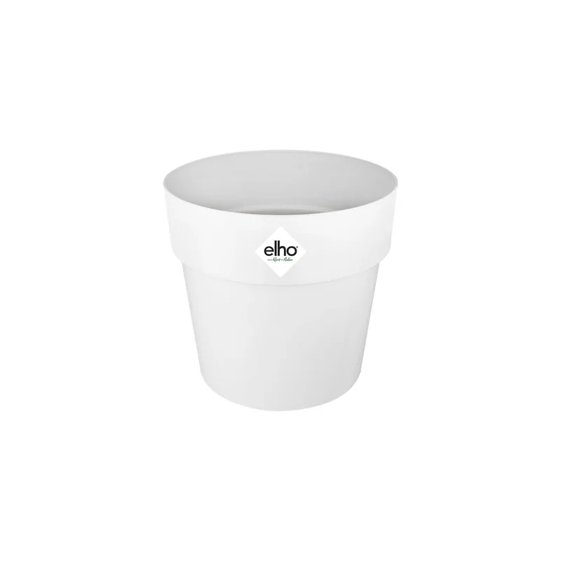 ibspot-46094915
