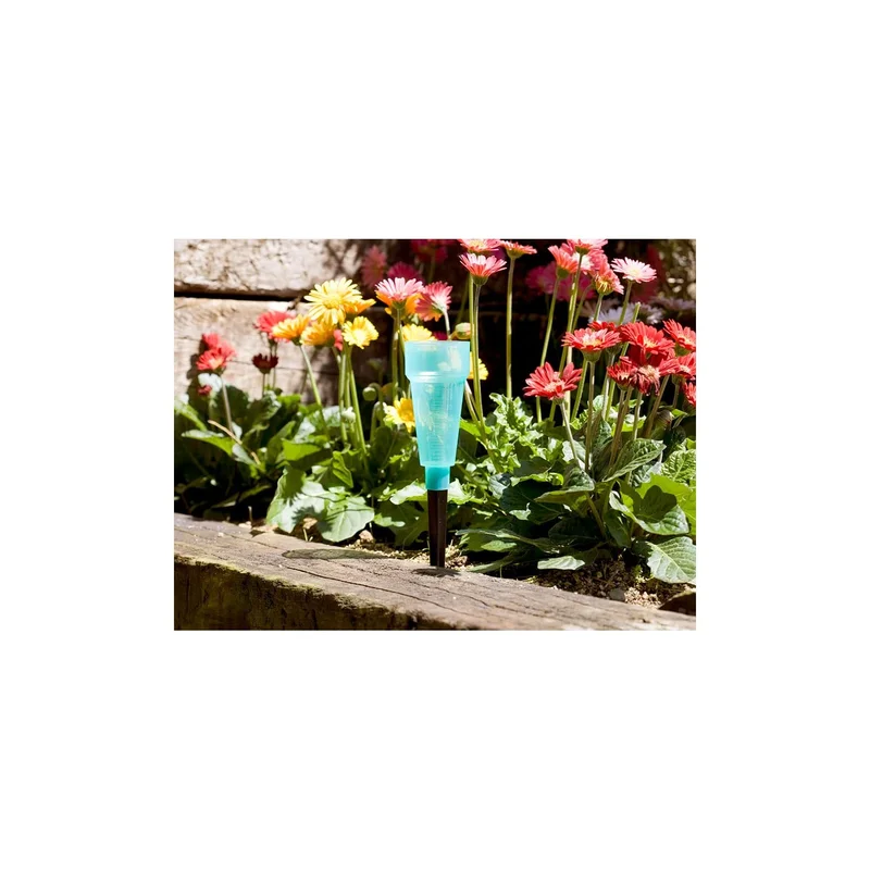 ibspot-5205310