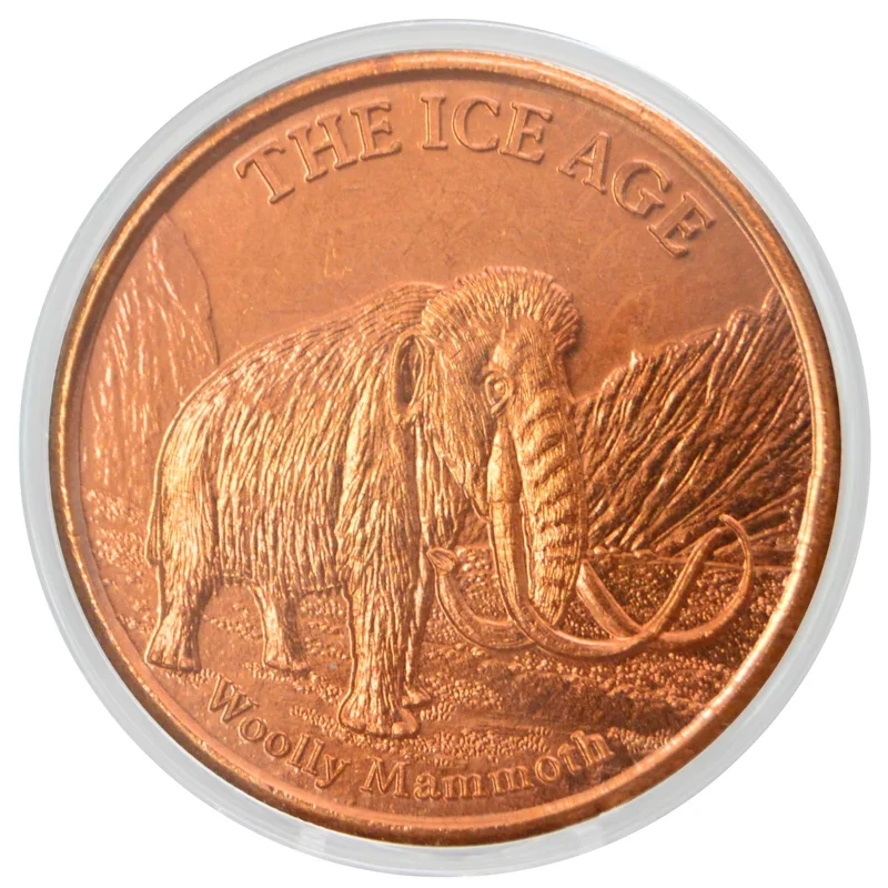 ibspot-54802309