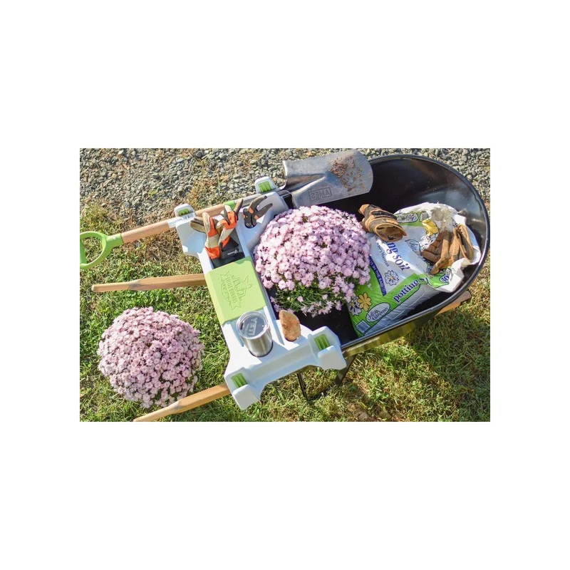 ibspot-54874730