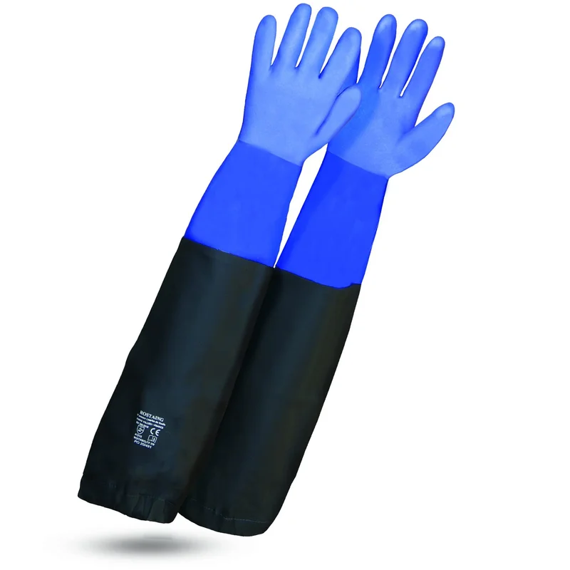 ibspot-55001631