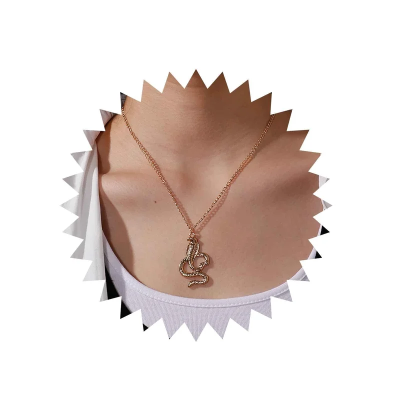 ibspot-55210005