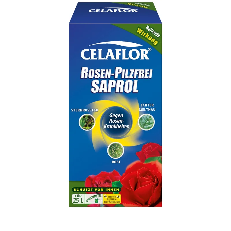 ibspot-584784