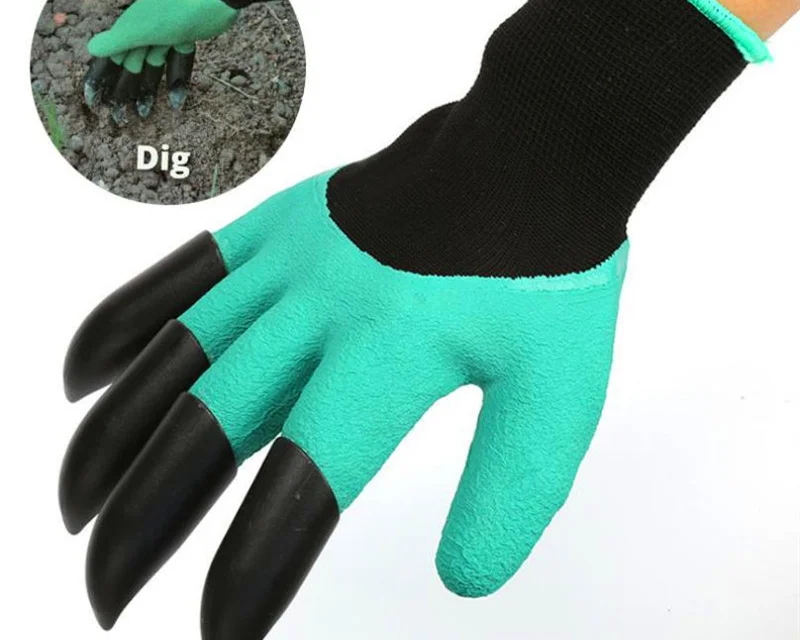 lcpshop4644820