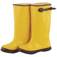 pettigrew-online4050340