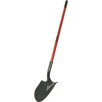pettigrew-online4233394