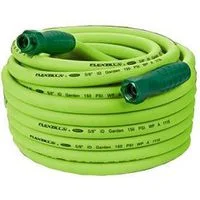 pettigrew-online4239428