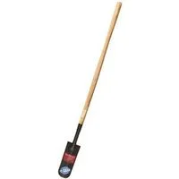 pettigrew-online4240875