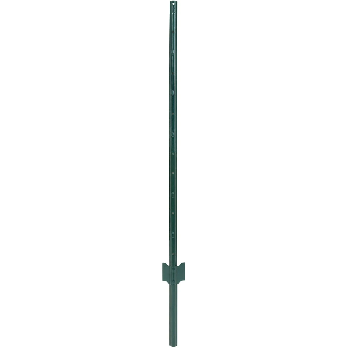 russellsofneillsville-14407762