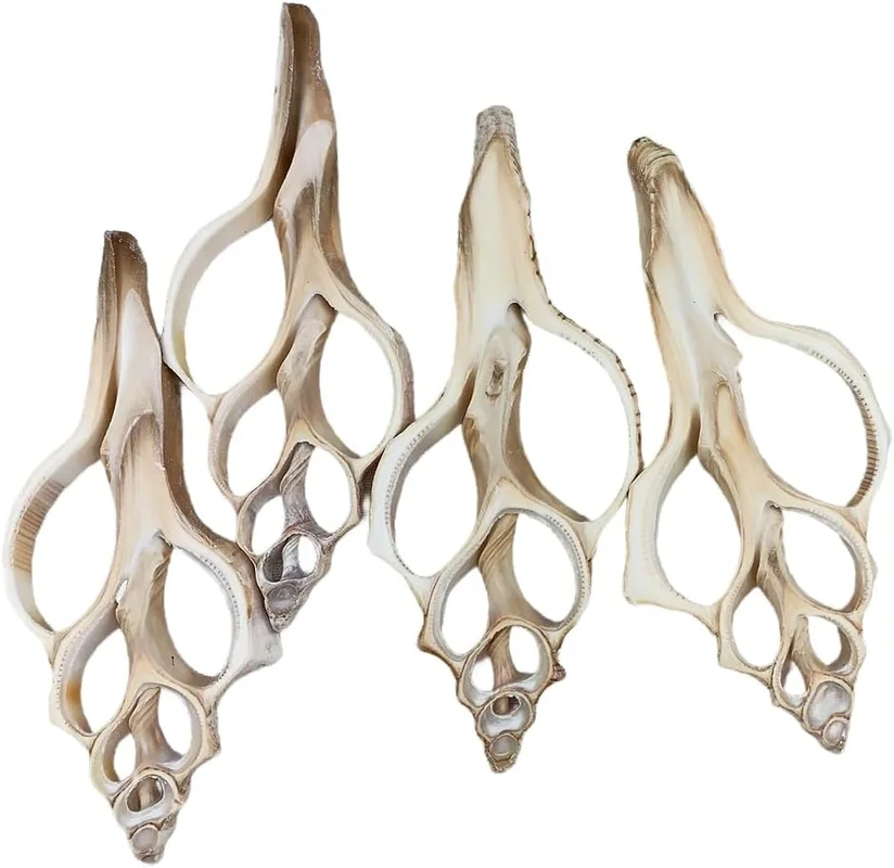 zeebooth-24551059