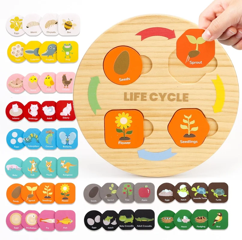 zeebooth-34672461