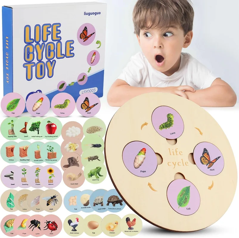 zeebooth-34672472