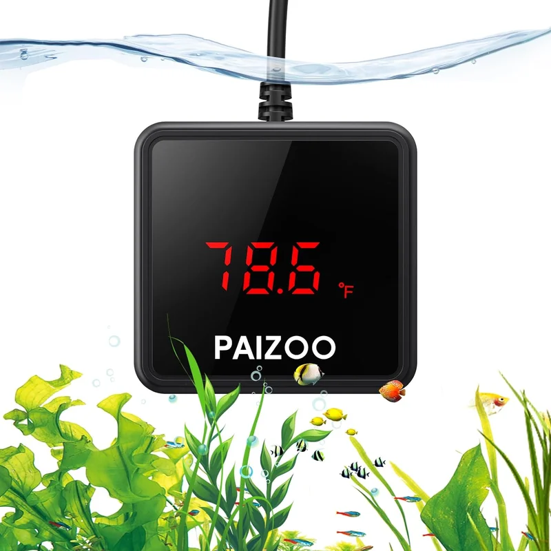 zeebooth-44470357