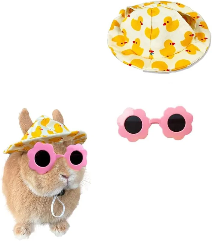 zeebooth-44511831