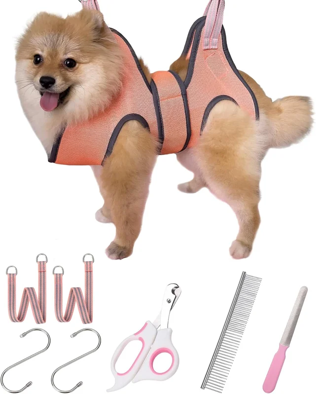 zeebooth-44528143