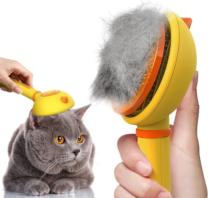 zeebooth-44574600