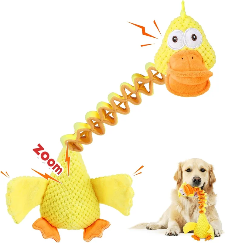 zeebooth-44637365
