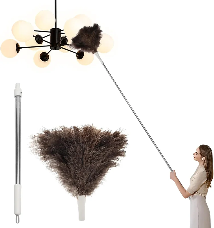 zeebooth-54654984